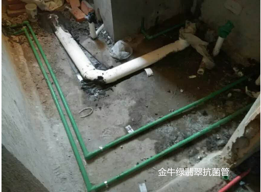 1458271688117584.png jjin.png