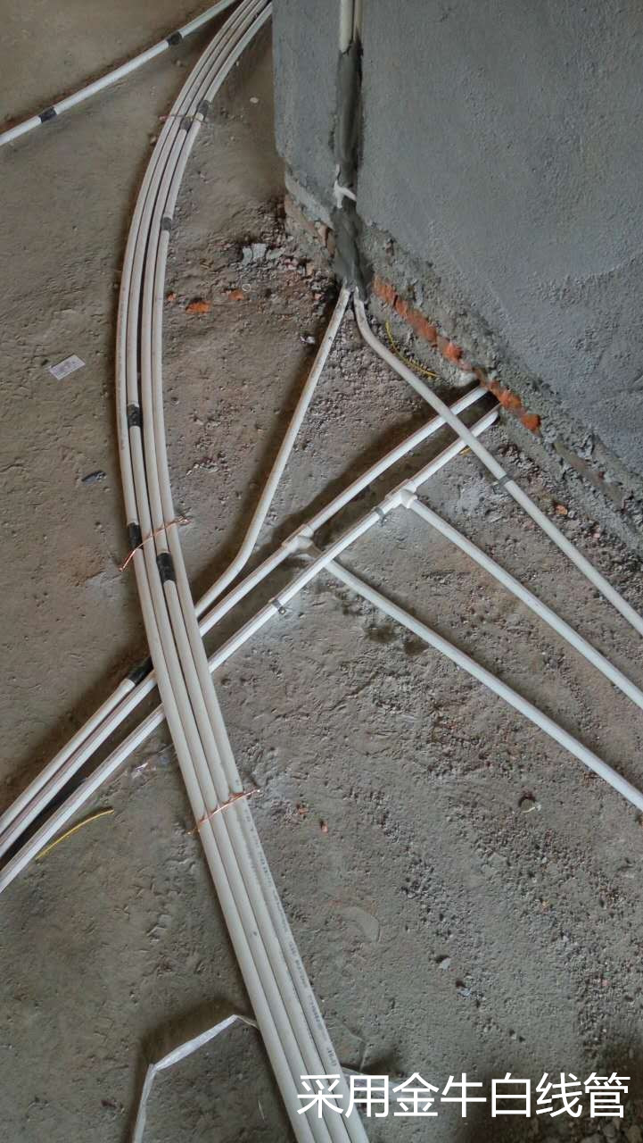 1458271946955262.jpg 20160309041043-375u-mCgdRT9LjL250013.jpg