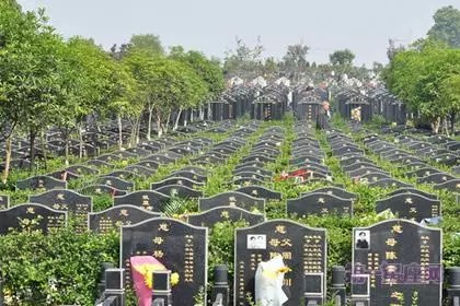 1459470223711444.jpg 8.jpg