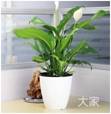 1469172927652792.jpg 8_15265_2b9cf746a6929c5.jpg