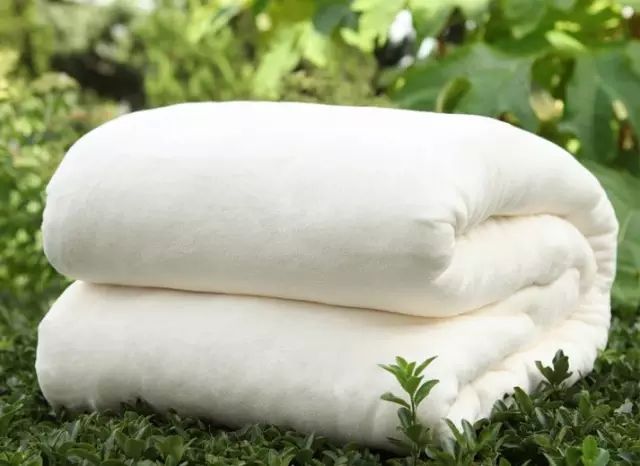 1477275516533723.jpg 640.webp (3).jpg