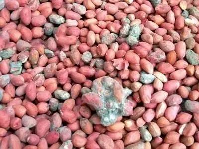 1477730730267227.jpg 640 (1).jpg