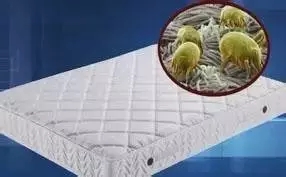 1478658505103448.jpg 0.webp (4).jpg