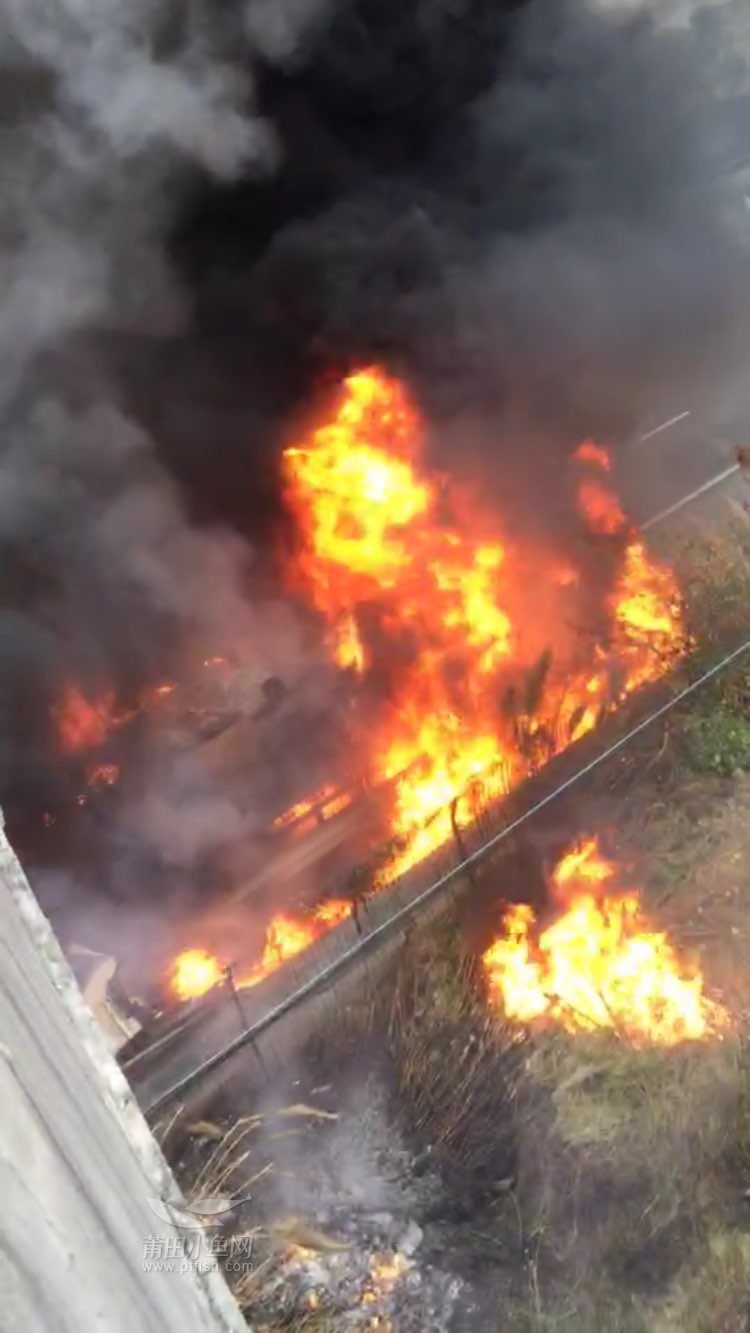 1484442125666648.jpg 16.jpg