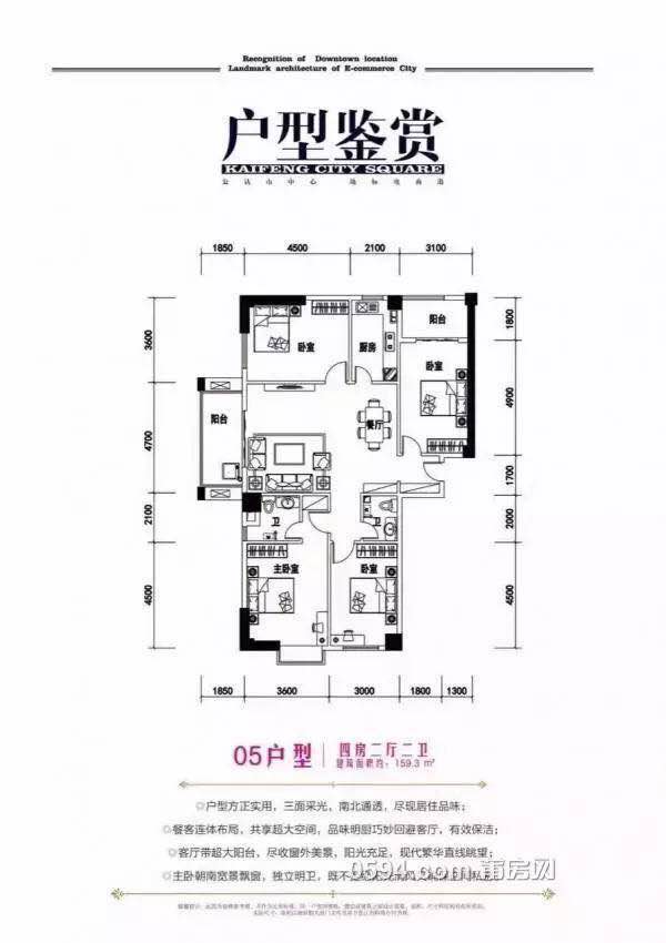 1486601003985772.jpg 15.jpg