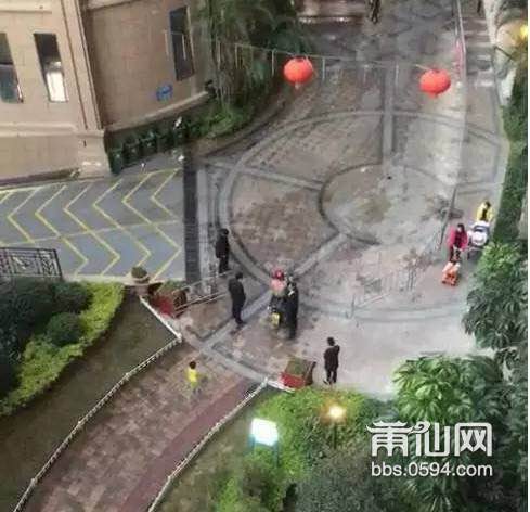 1487896507111818.jpg 1.jpg