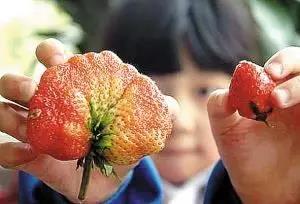 1487897549992958.jpg 1.jpg