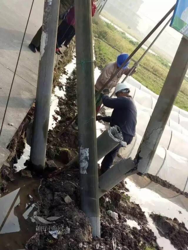 1488329115165887.jpg 5.jpg