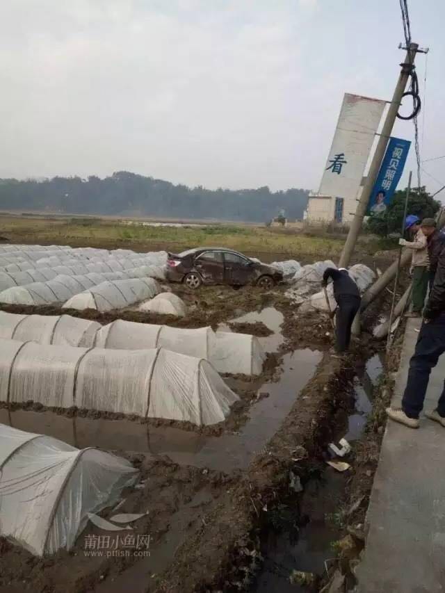 1488329119811278.jpg 6.jpg