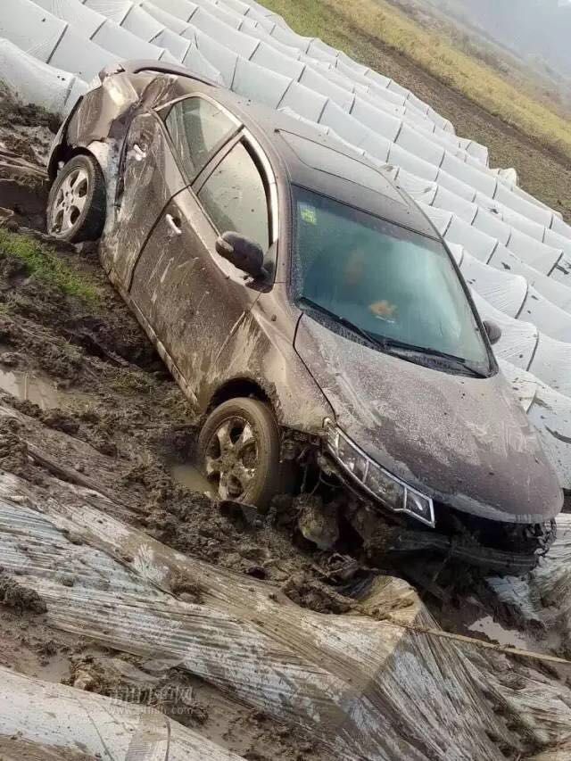 1488329127145060.jpg 7.jpg