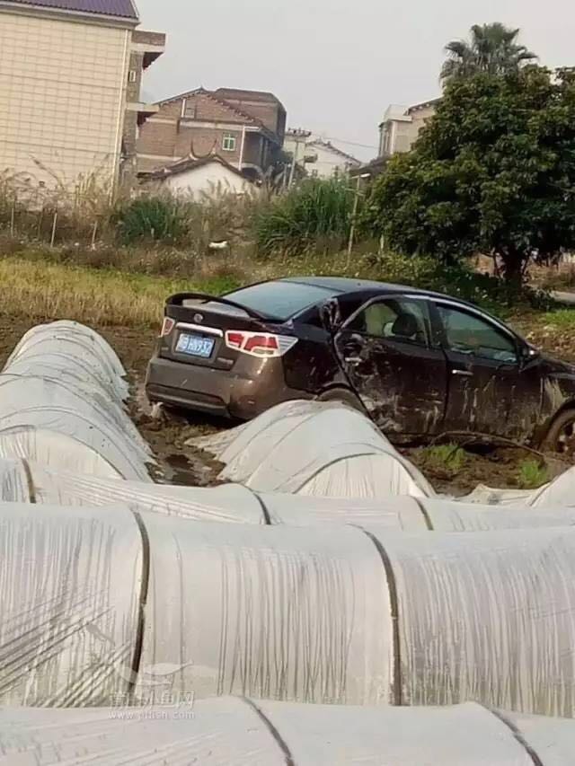 1488329134100388.jpg 8.jpg