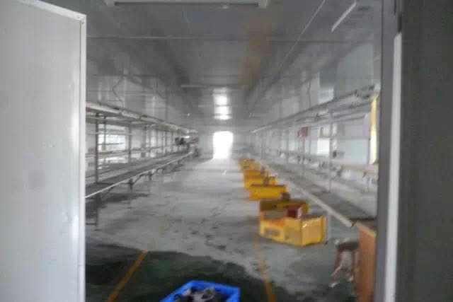 1489192413138549.jpg 10.jpg