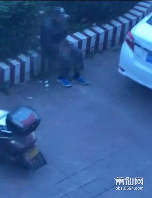 1489193992693844.jpg 4.jpg