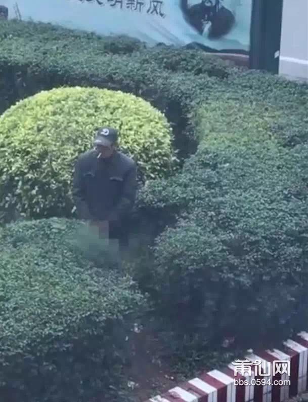 1489193996424293.jpg 5.jpg