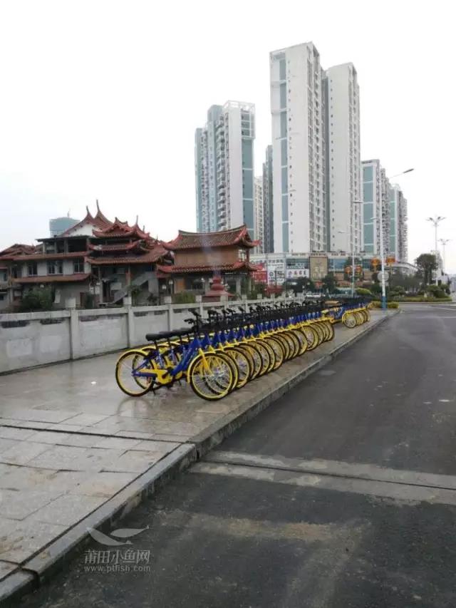 1489365455162746.jpg 2.jpg