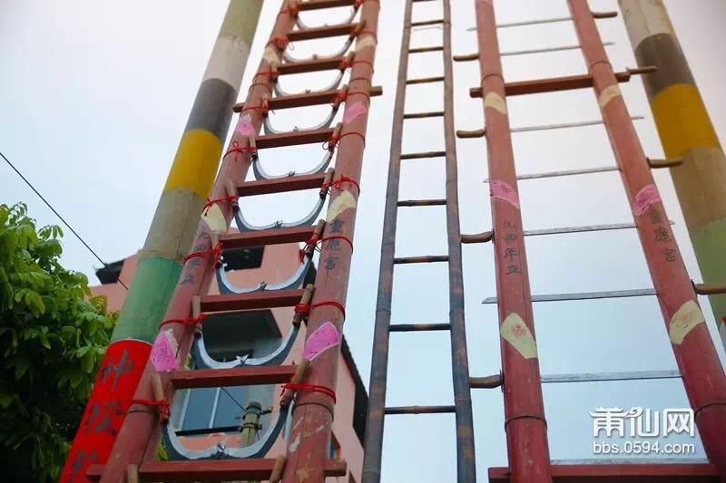 1489453393728829.jpg 2.jpg