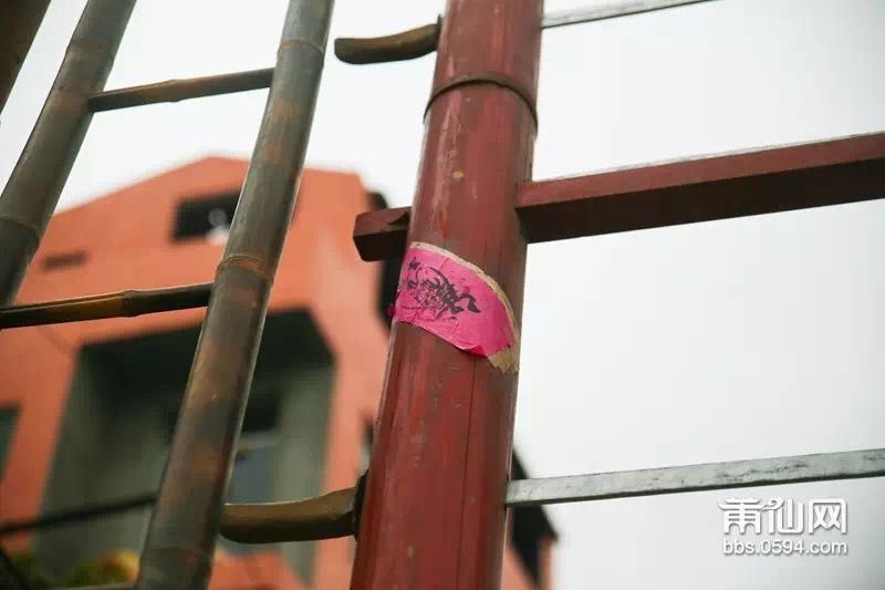 1489453400109399.jpg 4.jpg