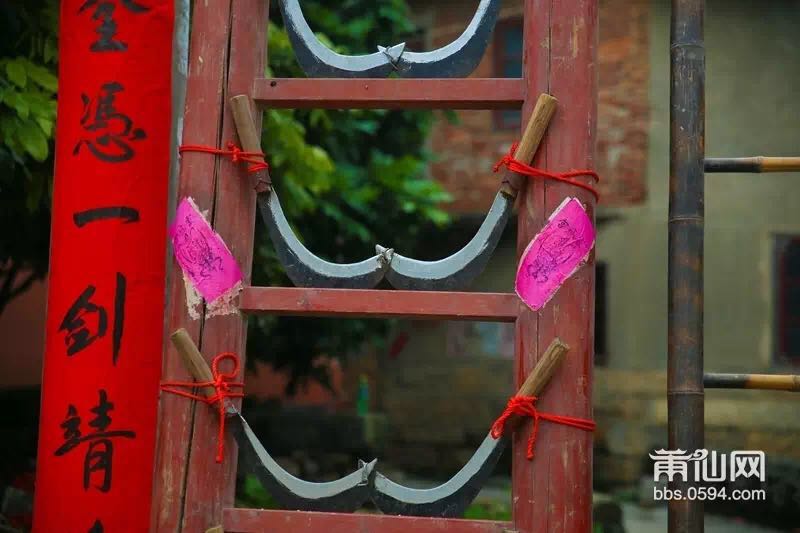 1489453404968258.jpg 5.jpg