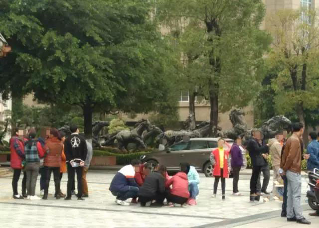 1489970305345889.jpg 4.jpg