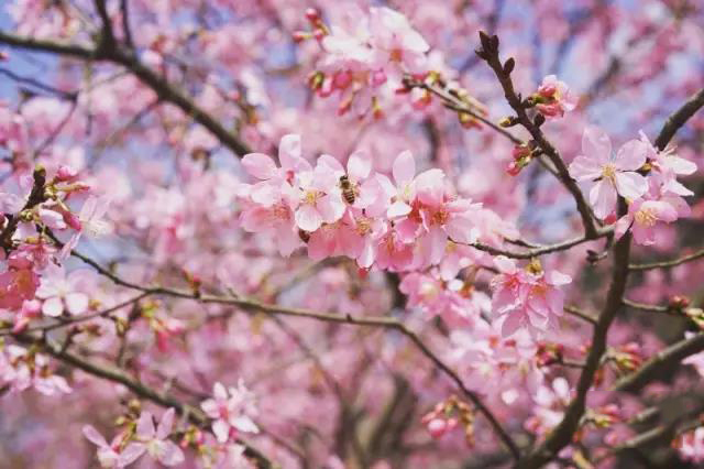 1491353658563372.jpg 5.jpg