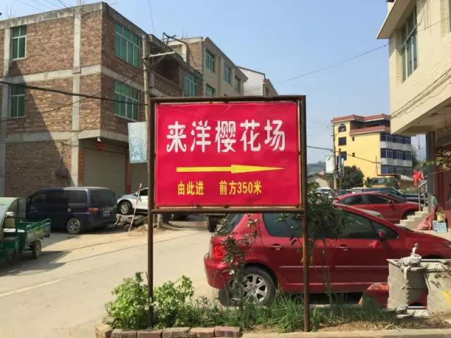 1491353701866487.jpg 11.jpg