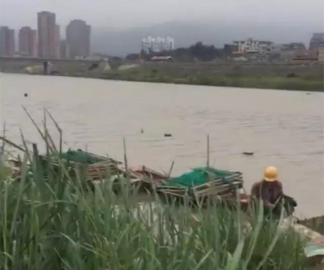 1492132607135907.jpg 2.jpg