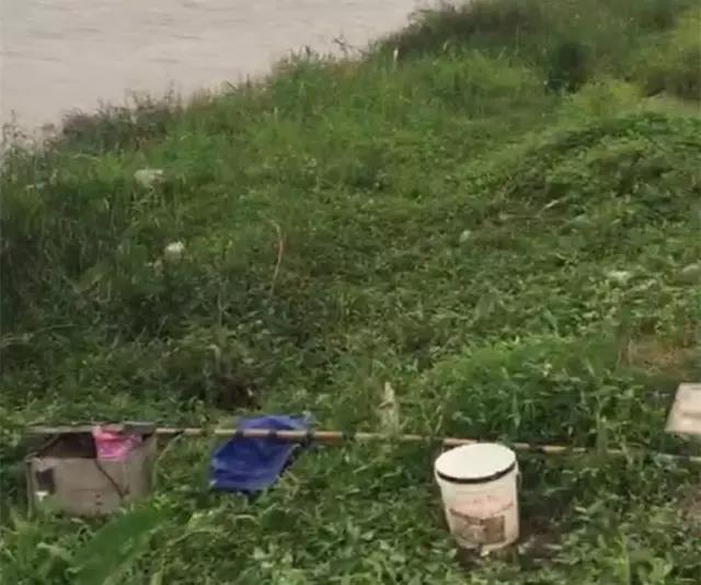 1492132616121706.jpg 4.jpg