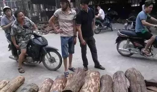 1495437918875481.jpg 6.jpg