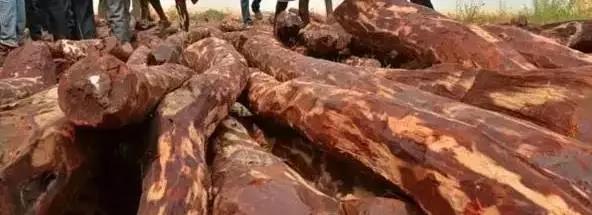 1495437925133428.jpg 7.jpg