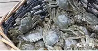 1498782640338918.jpg 9.jpg