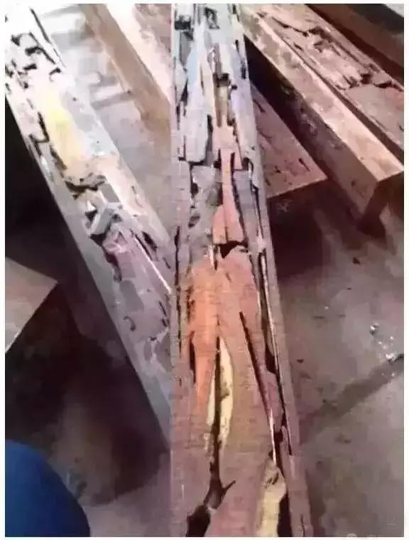 1498782643318176.jpg 10.jpg