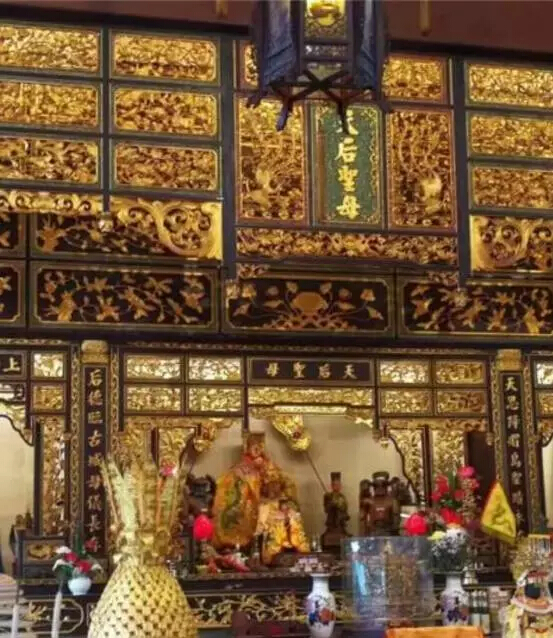 1499041693842476.jpg 23.jpg