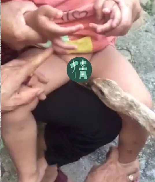 1499302382315207.jpg 1.jpg