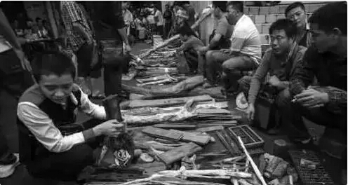 1499993265678051.jpg 3.jpg